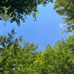 WhatsApp Image 2024-09-05 at 09.56.15 (2)