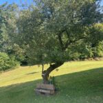 WhatsApp Image 2024-09-05 at 09.56.15 (4)