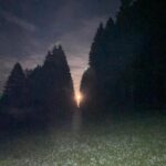 WhatsApp Image 2024-09-05 at 10.00.08