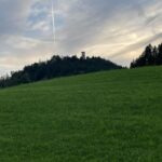 WhatsApp Image 2024-09-05 at 10.00.53 (1)